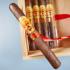 La Aurora 107 Maduro Corona Cigar - 1 Single