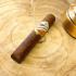 Gurkha Marquesa Box Pressed Robusto Cigar - 1 Single