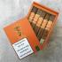 Matilde Quadrata Robusto Cigar - Box of 20