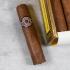 Montecristo Media Corona Cigar - 1 Single