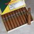 Montecristo Open Master Cigar - Box of 20