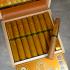 Perdomo 10th Anniversary Connecticut Epicure Cigar - Box of 25