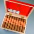 Plasencia Dominique Seleccion 2024 Exclusive Petit Dominique Cigar - Box of 25