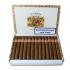 Punch Punch Cigar - Box of 25