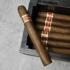 J.C Newman Cigar Co. Yagua Limited Edition Toro Extra Cigar - 1 Single