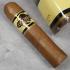 Quorum Shade Grown Short Robusto Cigar - 1 Single