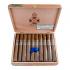 Foundation The Wise Man Corojo Toro Cigar - Box of 20