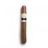 Casa Turrent 1973 Gran Robusto Cigar - 1 Single