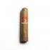 Conquistador Short Robusto Cigar - 1 Single