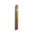 Chinchalero Esportivo Cigar - 1 Single