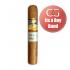 Cohiba Robustos Cigar - 1 Single (Its a Boy Band)
