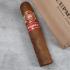 H. Upmann Magnum 54 Cigar - 1 Single