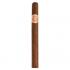 Punch Double Coronas Cigar - 1 Single