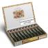 Punch Punch Tubed Cigar - Box of 10