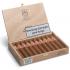 Punch Short de Punch Cigar - Box of 10